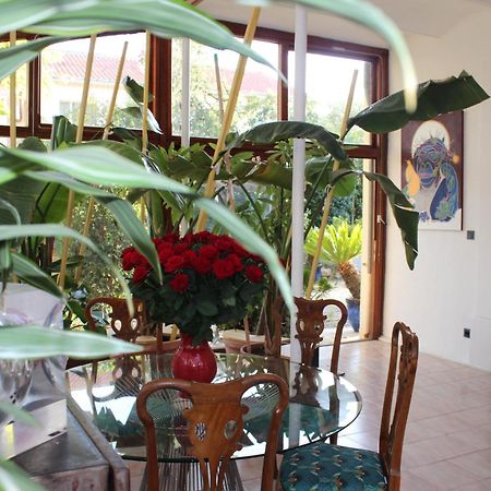 Villa Kumquats Beziers Luaran gambar